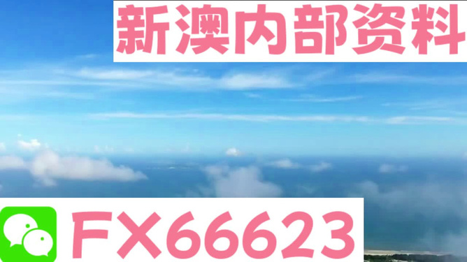 2024年新澳天天开彩最新资料,创造力策略实施推广_PT48.37.35