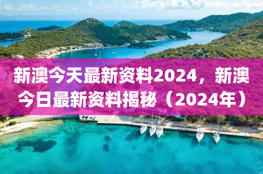 2024新澳六今晚资料,定性分析说明_铂金版36.61.55