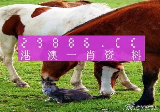 奥门一肖一码100%准吗46249,科学解析评估_T56.97.45
