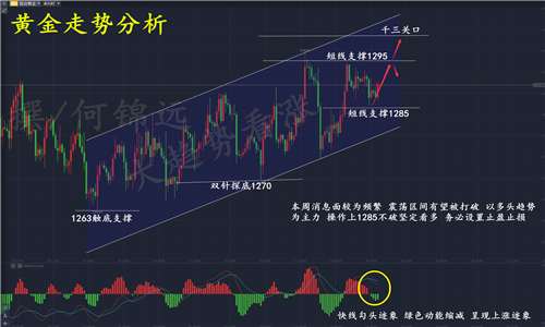 全面实施策略数据