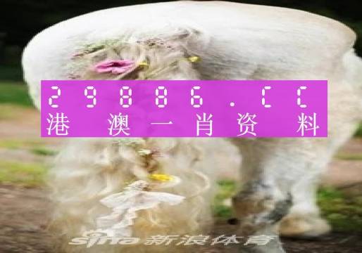 2024澳门一肖一码资料,理性解答解释落实_标配版64.832