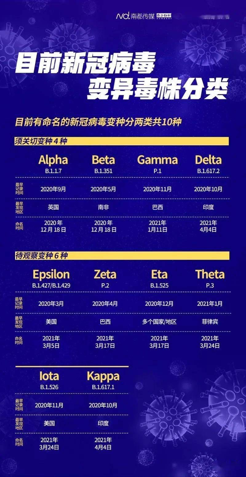2024新澳全年资料,适用设计解析_高级款96.78.22