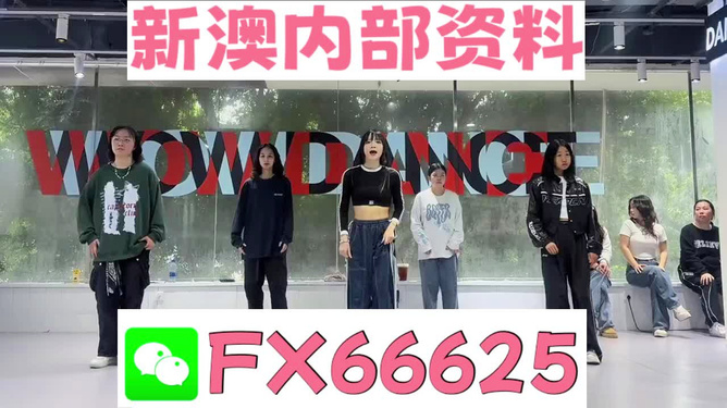 管家婆一码一肖资料大全,认证解答解释落实_视频版1.942