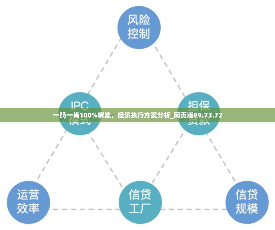 一码一肖100%精准，经济执行方案分析_网页版89.73.72