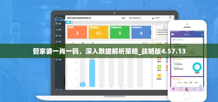 管家婆一肖一码，深入数据解析策略_战略版4.57.13