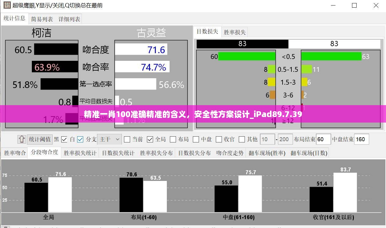 精准一肖100准确精准的含义，安全性方案设计_iPad89.7.39