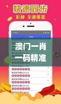 澳门一肖一码精准100王中王，灵活性执行计划_战略版96.52.63