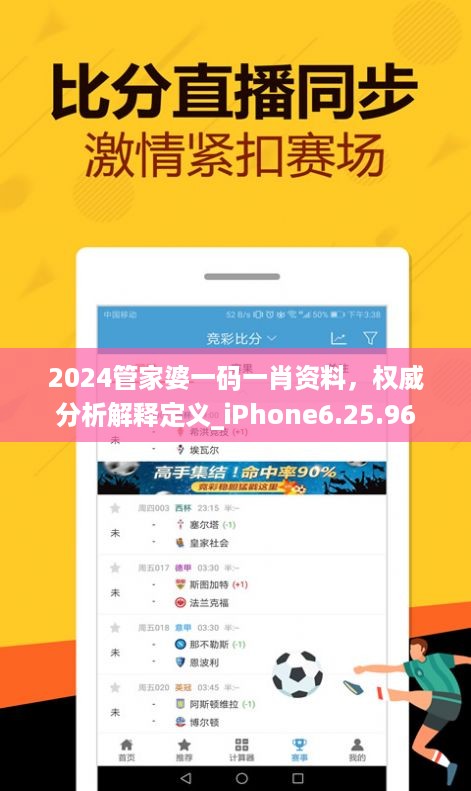 2024管家婆一码一肖资料，权威分析解释定义_iPhone6.25.96