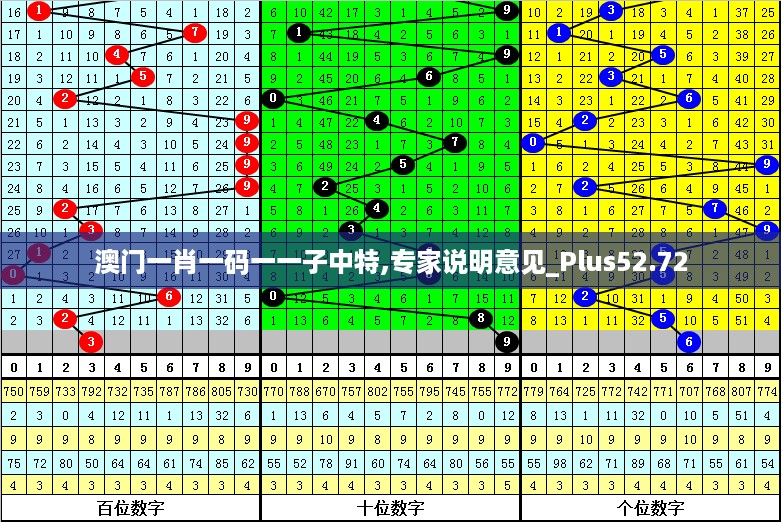 澳门一肖一码一一子中特,专家说明意见_Plus52.72
