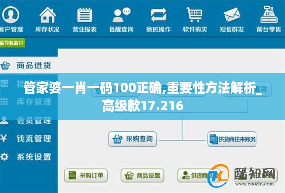 管家婆一肖一码100正确,重要性方法解析_高级款17.216