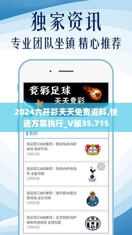 2024六开彩天天免费资料,快速方案执行_V版35.715