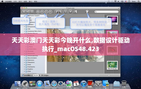 天天彩澳门天天彩今晚开什么,数据设计驱动执行_macOS48.423