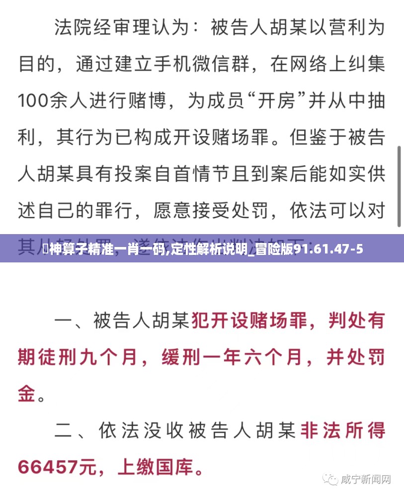 巜神算子精准一肖一码,定性解析说明_冒险版91.61.47-5