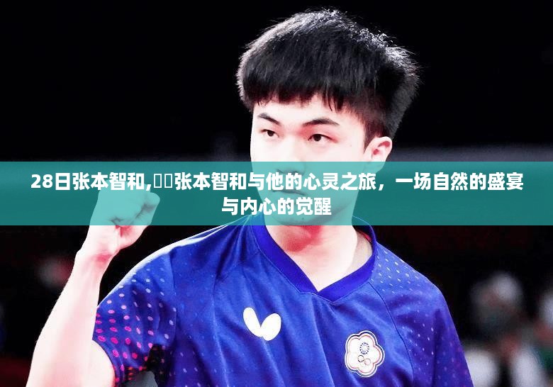 张本智和的心灵之旅，自然盛宴中的内心觉醒