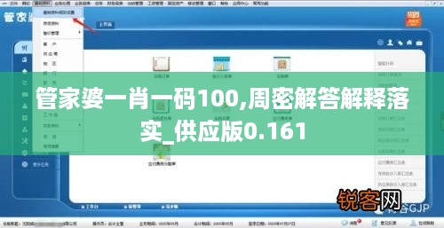 管家婆一肖一码100,周密解答解释落实_供应版0.161