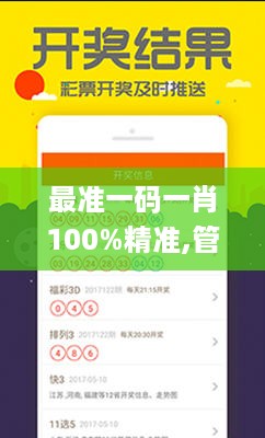 最准一码一肖100%精准,管家婆,权威解答策略研究解释_国服款1.363
