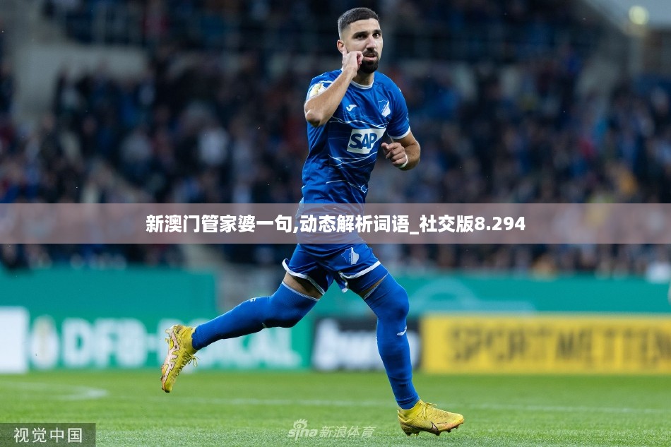 10使用28 第33页