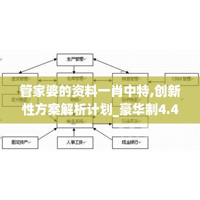 管家婆的资料一肖中特,创新性方案解析计划_豪华制4.405