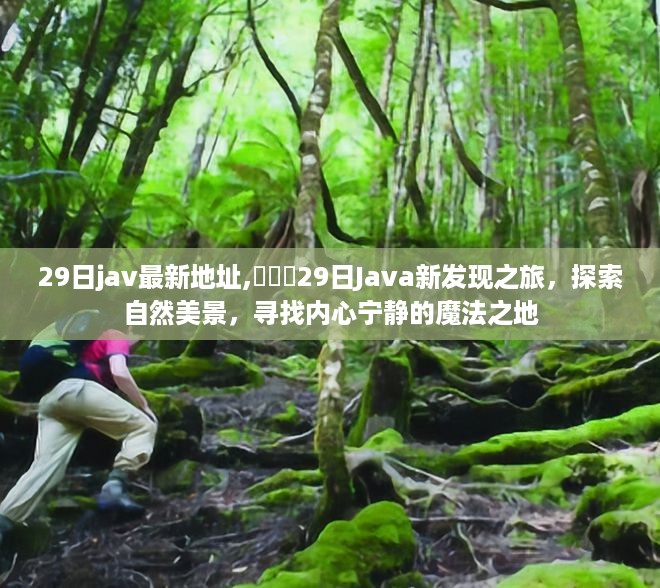 探索自然美景，寻找内心宁静的魔法之地，最新Java探索之旅
