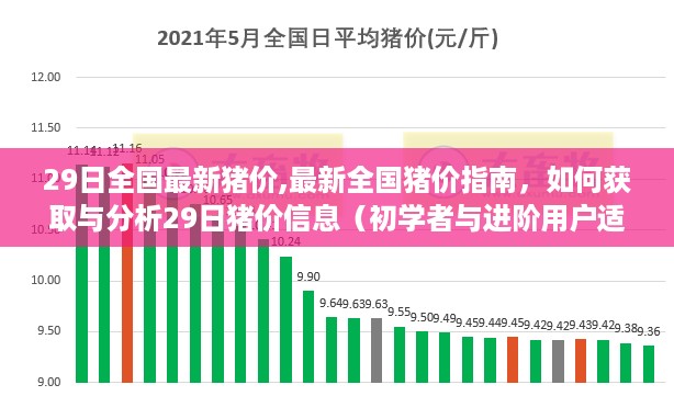最新全国猪价指南，获取与分析29日猪价信息的初学者与进阶用户适用教程