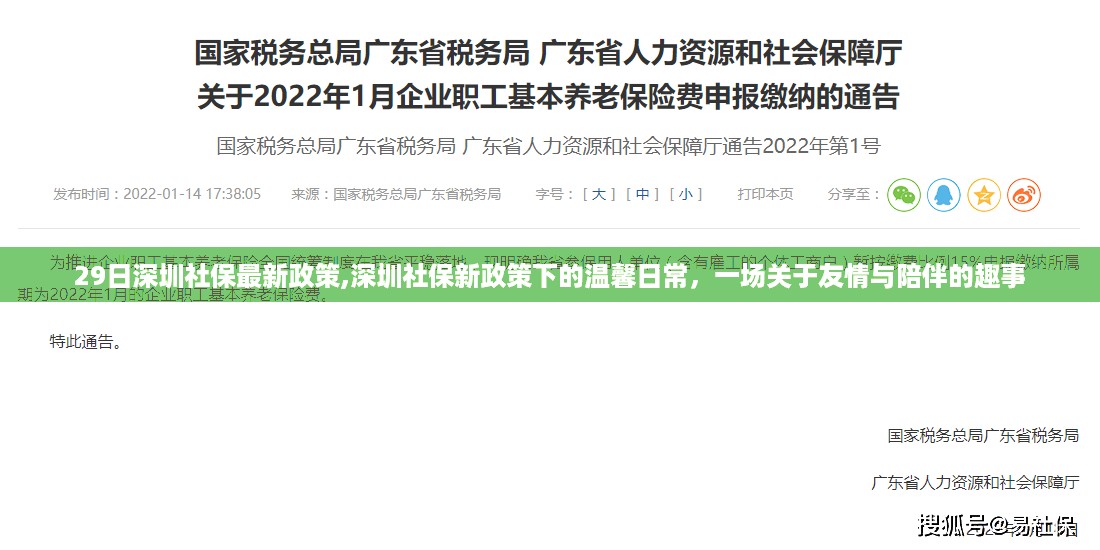 深圳社保新政策下的友情与陪伴趣事，温馨日常解读