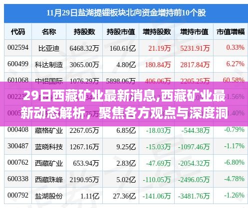 西藏矿业最新动态解析，聚焦各方观点与深度洞察，深度报道最新消息
