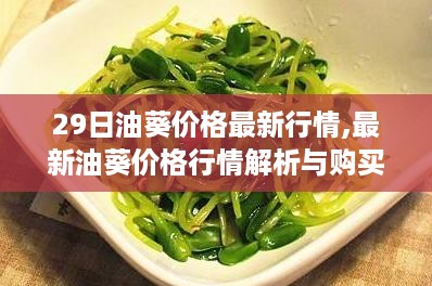 橘虞初梦 第50页