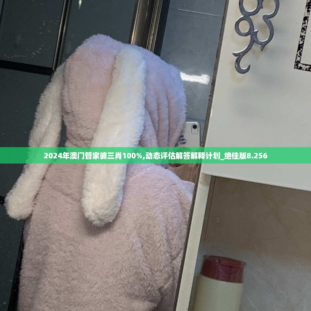 2024年澳门管家婆三肖100%,动态评估解答解释计划_绝佳版8.256