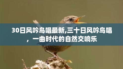 时代自然交响乐，三十日风吟鸟唱新篇章