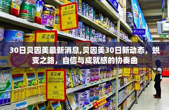 贝因美最新动态，蜕变之路上的自信成就协奏曲