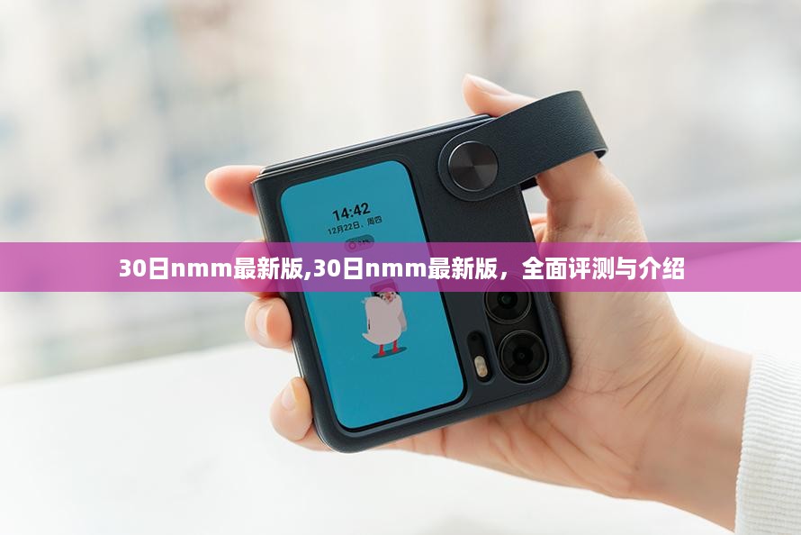关于30日nmm最新版的深度评测与介绍（避免涉黄内容）