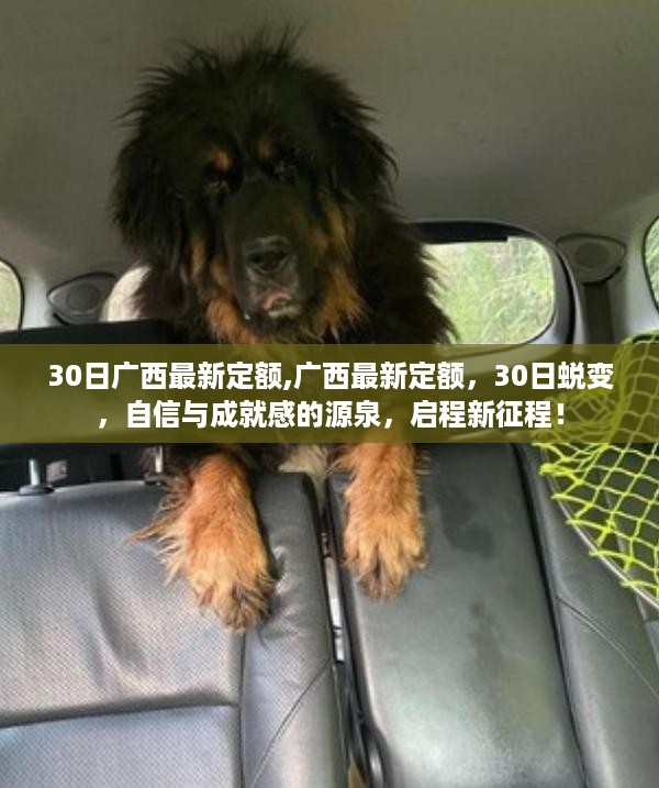 广西最新定额引领蜕变，启程新征程，自信成就梦想！