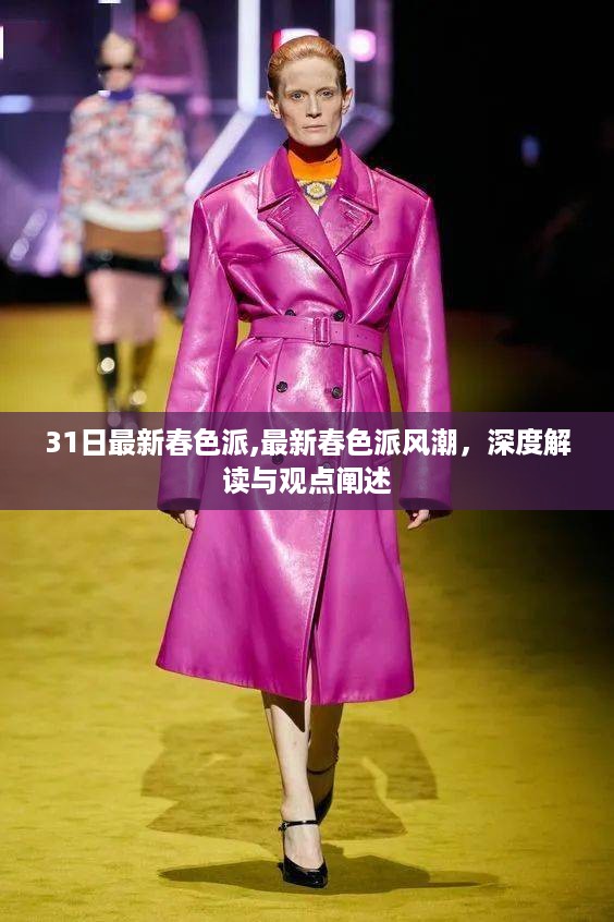 深度解读与观点阐述