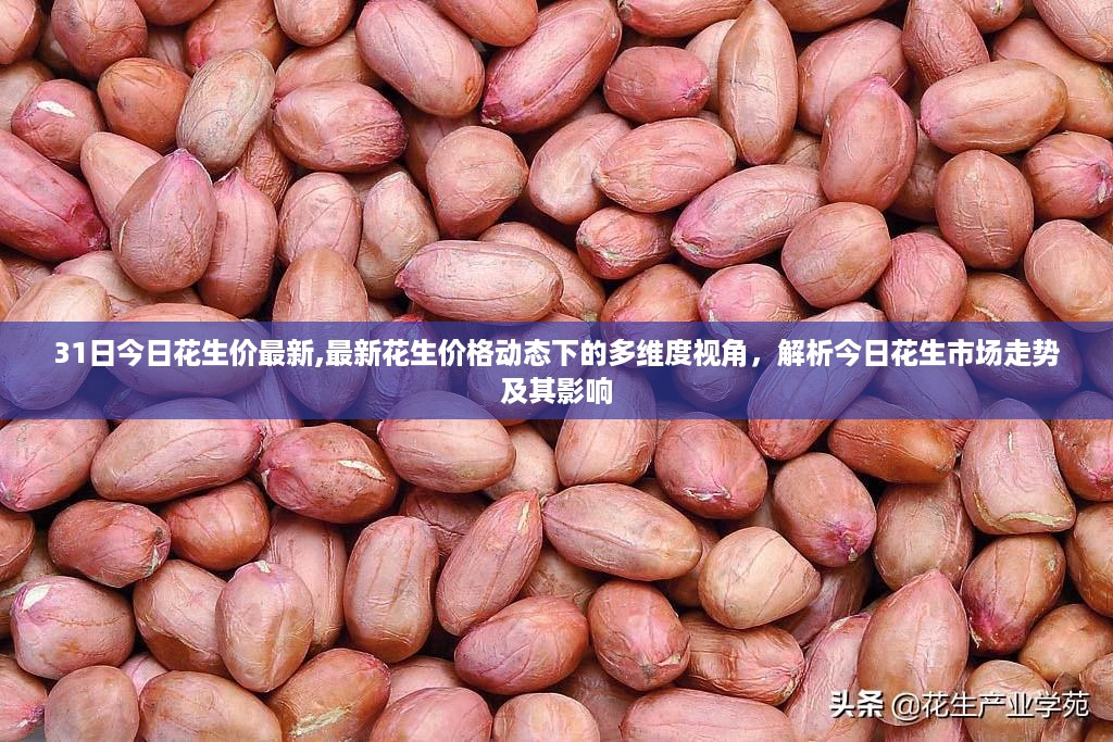 今日花生市场走势深度解析，多维视角探讨最新价格动态及其影响