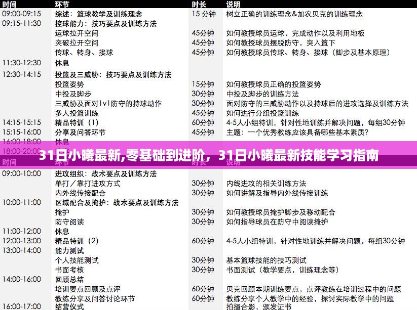零基础到进阶，31日小曦最新技能学习指南