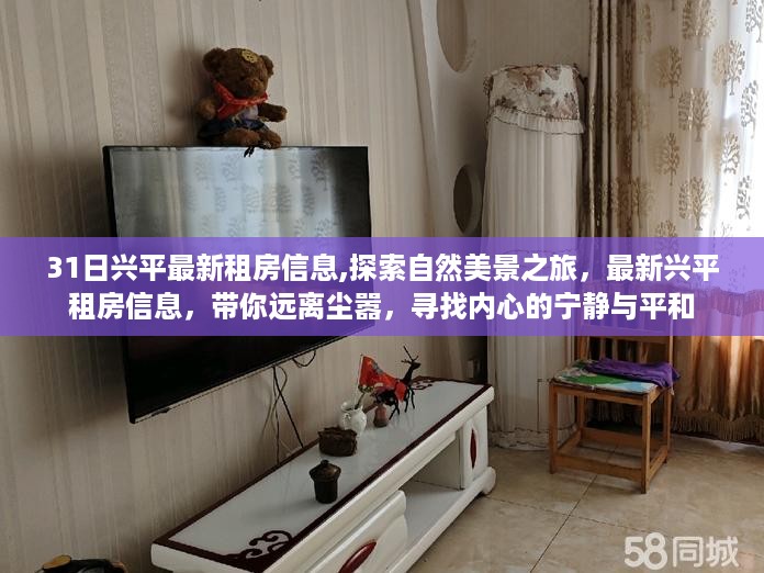兴平最新租房信息及自然美景探索，追寻内心的宁静与平和之旅