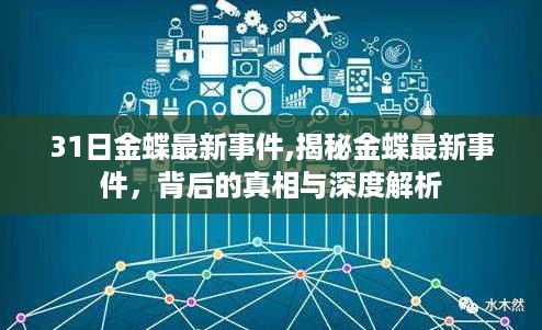 揭秘金蝶最新事件背后的真相与深度解析，深度探究与最新进展