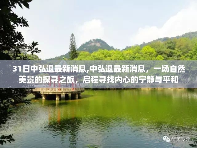 中弘退最新消息揭秘，自然美景探寻之旅启程，寻找内心宁静与平和之旅