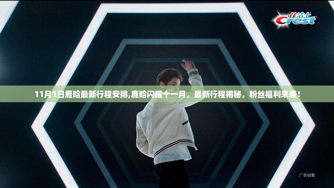 鹿晗十一月行程揭秘，粉丝福利来袭，闪耀之旅开启！