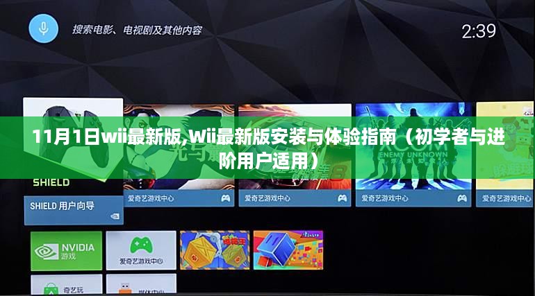 Wii最新版安装与体验指南，从初学者到进阶用户的全面指南（11月1日更新）