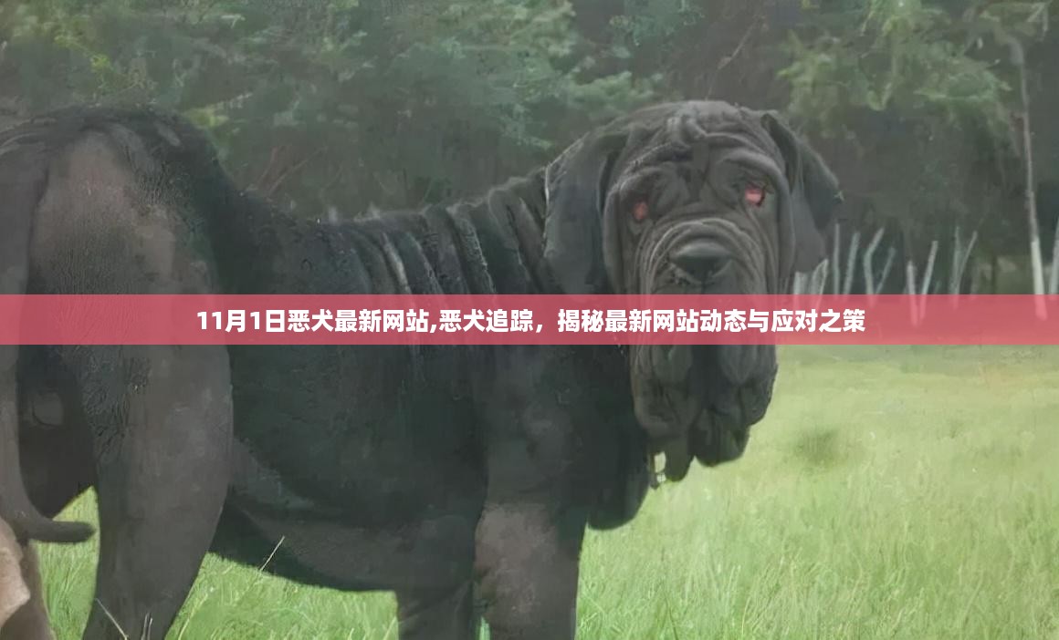 花开无言 第34页