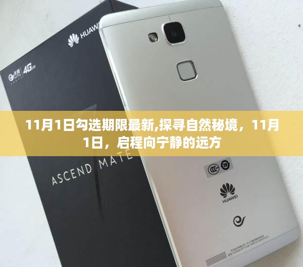 花开无言 第33页