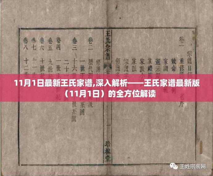全面解读与分析