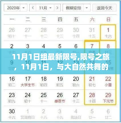 沉默的海 第31页