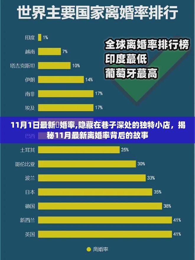 揭秘独特小店背后的故事，最新离婚率背后的真相与巷子深处的秘密