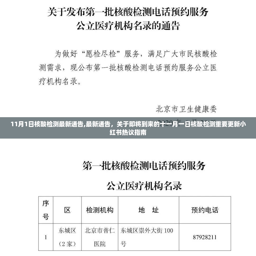 小红书热议