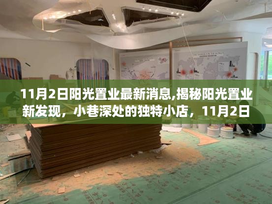 揭秘阳光置业新发现，小巷深处的独特小店，最新消息探秘（11月2日）