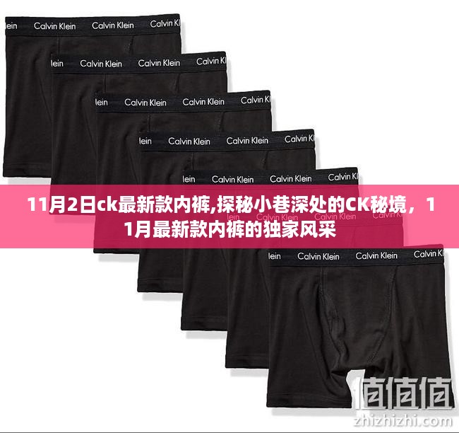 探秘小巷深处的CK秘境，独家呈现最新款内裤风采（11月版）