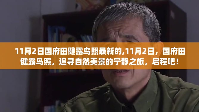 国府田健露鸟照，追寻自然美景的宁静之旅启程！