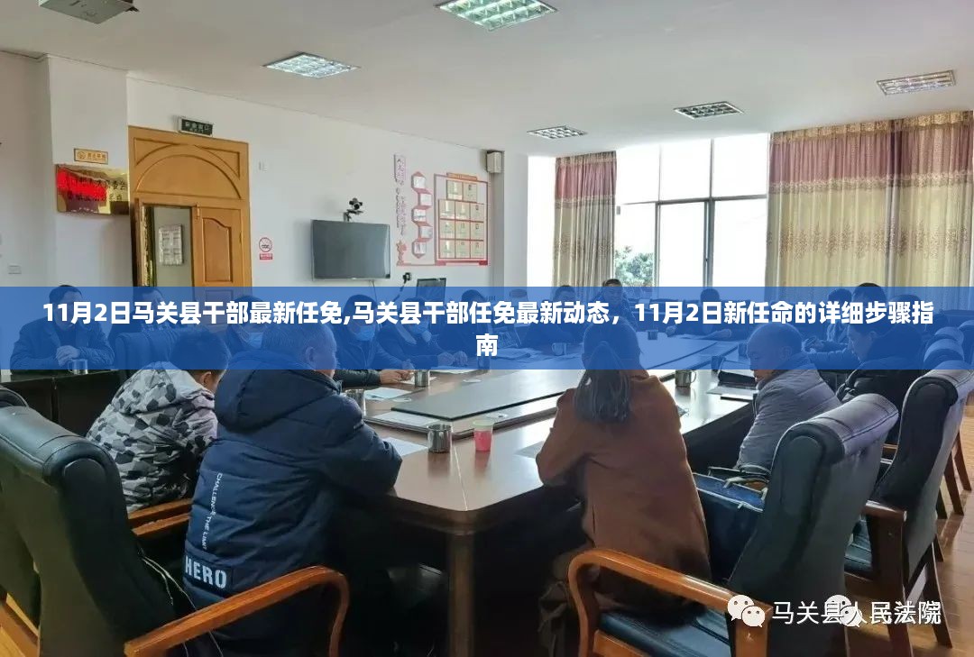 11月2日马关县干部任免最新动态及新任命的详细步骤指南